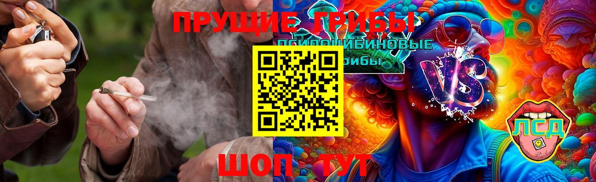 Галлюциногенные грибы MAGIC MUSHROOMS Конаково