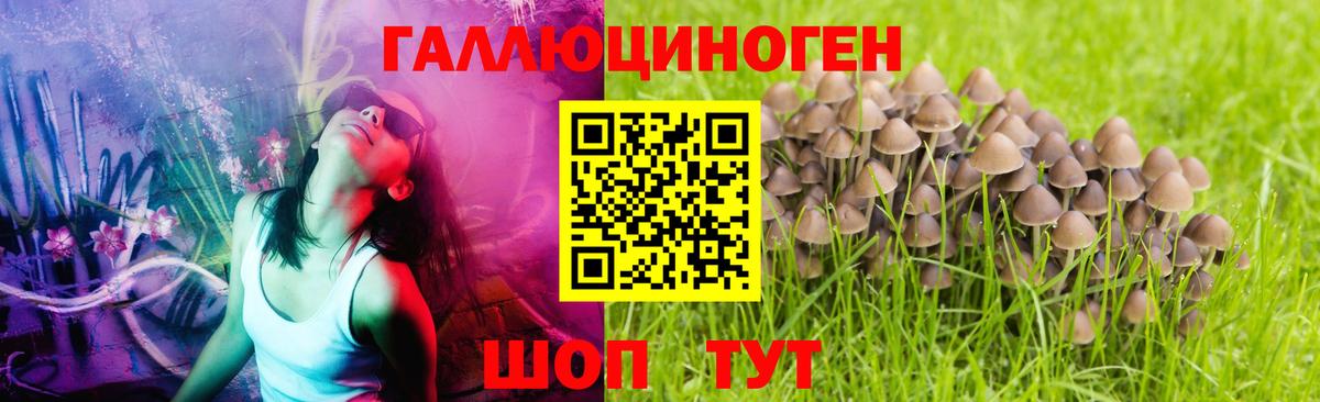 Галлюциногенные грибы Psilocybe  Псилоцибиновые грибы Psilocybe  Вход с VPN  Конаково 